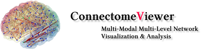Connectome Viewer Documentation